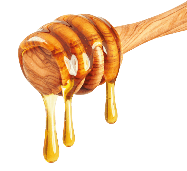 Honey_1
