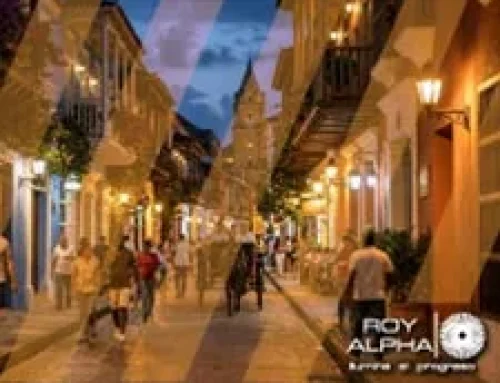 Roy Alpha