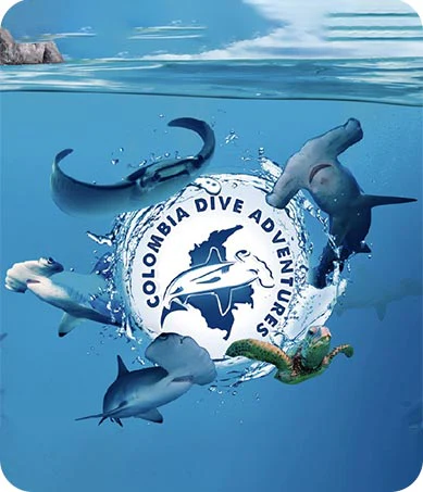clase-colombia-dive-adventure cliente Colombia Dive Adventure